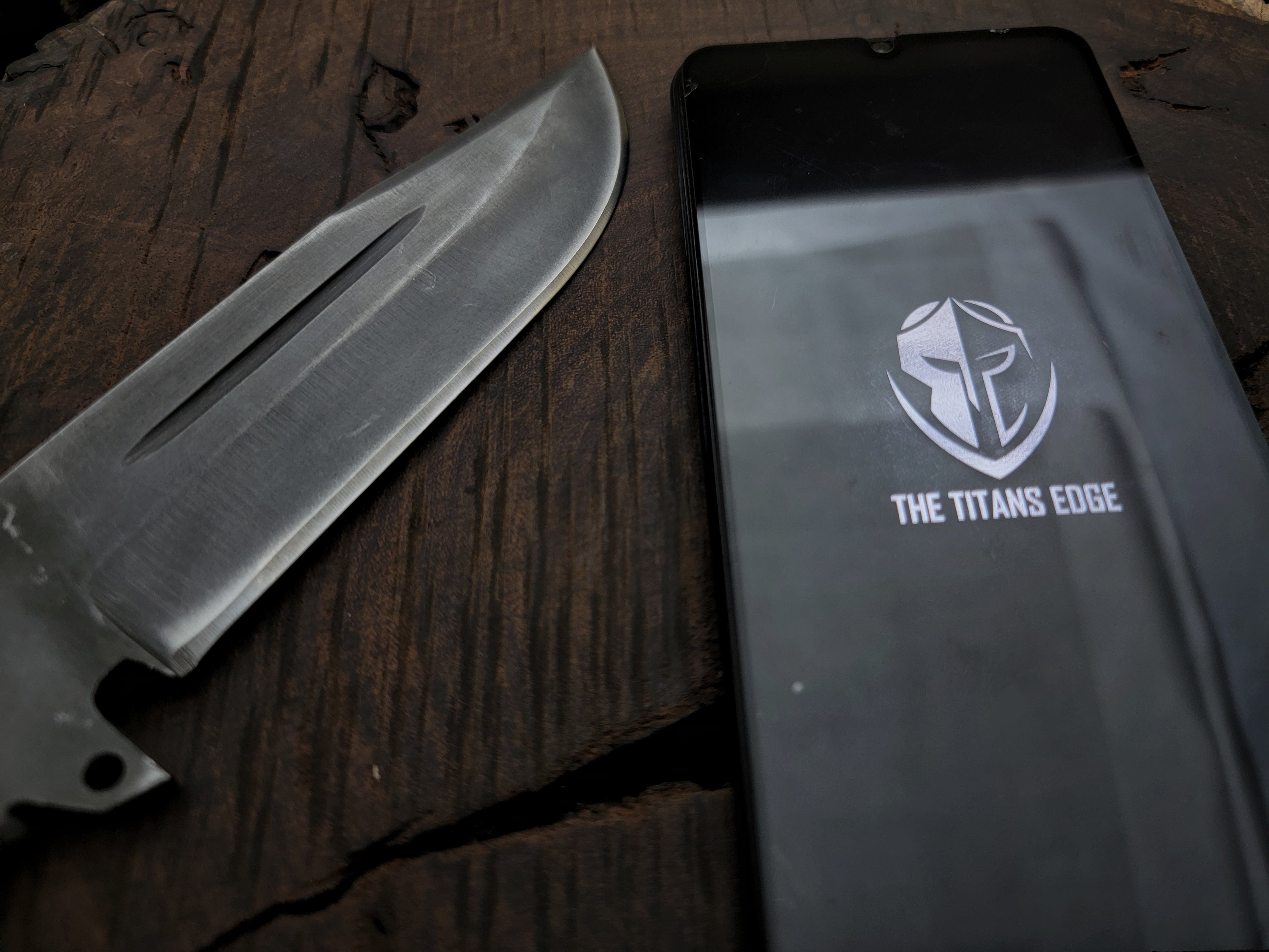 Handmade Resident Evil Biohazard Full Tang Replica Knife with Leather Sheath
